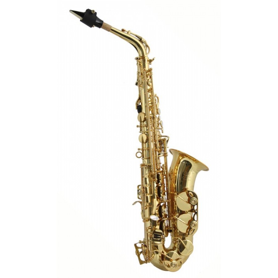 Trevor James SR Alto Saxophone Gold Lacquer Alto Saksofon