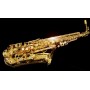 Yanagisawa A-WO1 Alto Saxophone Alto Saksofon
