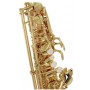 Yanagisawa A-WO2 Alto Saxophone Alto Saksofon