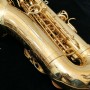 Yanagisawa AWO10 Alto Saxophone - Gold Lacquer Alto Saksofon