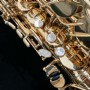 Yanagisawa AWO10 Alto Saxophone - Gold Lacquer Alto Saksofon