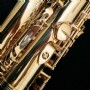 Yanagisawa AWO10 Alto Saxophone - Gold Lacquer Alto Saksofon