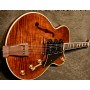 Peerless Wizard Custom Archtop Jazz Guitar Caz Kasa Elektro Gitar