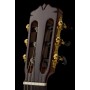 Cordoba C12 SP - European Spruce Top Klasik Gitar
