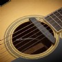 Fishman PRO-NEO-D02 Neo-D Magnetic Humbucker Acoustic Pickup Akustik Gitar Manyetiği