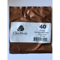 Dean Markley Blue Steel NPS Wound Single .040