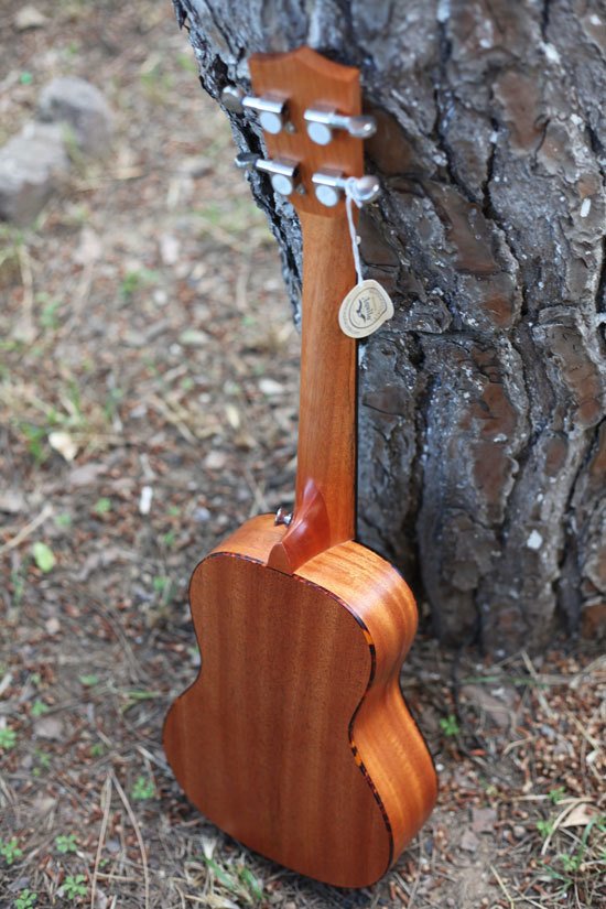 Puka pk3 shop concert ukulele