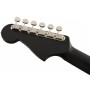 Fender Newporter Special Elektro Akustik Gitar