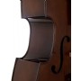 Stentor SR1950C 3/4 Size Student Series Upright Double Bass Kontrbas 3/4