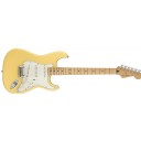 Fender Player Stratocaster Buttercream - Maple