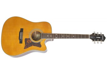 epiphone masterbilt dm500