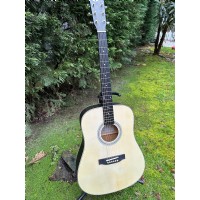 SX SD204 Trans Black
