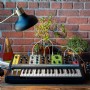 Moog Grandmother semi-modüler analog synthesizer