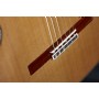 Alhambra Linea Profesional Klasik Gitar