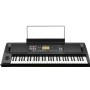 Korg EK-50 Entertainer Keyboard Org