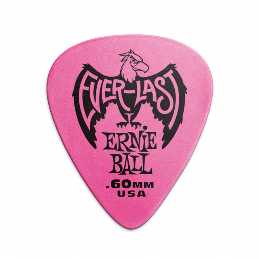 Everlast guitar store picks