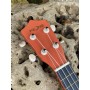 Fzone FZU002 PINK Soprano Ukulele Çantalı