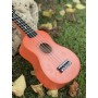 Fzone FZU002 BLS Soprano Ukulele Çantalı