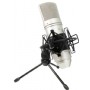 Tascam TM-80 Cardioid Condenser Mikrofon