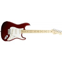 Fender American Standard Stratocaster Candy Cola - Maple