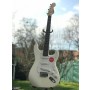 Squier Bullet Strat With Tremolo Pink Rosewood Elektro Gitar