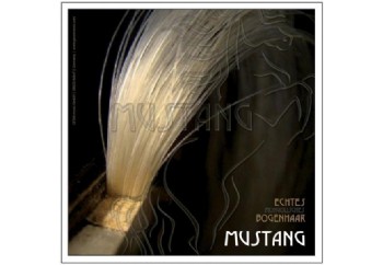 Gewa 450927 Mustang - Kontrbas Arşe Kılı