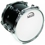 Evans UNO G1 10 inch - UB10G1 Tom Derisi