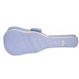 Cordoba Protege C1 Matiz Classic Blue Klasik Gitar