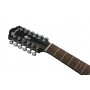 Ibanez AEG5012 BKH - Black High Gloss 12 Telli Elektro Akustik Gitar
