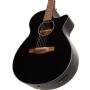 Ibanez AEG50 BK - Black High Gloss Elektro Akustik Gitar