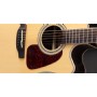 Takamine GD90CE-ZC NAT - Natural Elektro Akustik Gitar