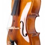 Vanetta WN-20 3/4 Çello