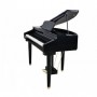 Artesia AG-30 Micro Grand Digital Piano Black Kuyruklu Dijital Piyano