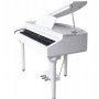 Artesia AG-30 Micro Grand Digital Piano Black Kuyruklu Dijital Piyano