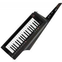 Korg RK-100S 2 BK - Siyah