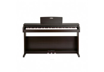 Pearl River V-03 Gül Ağacı - Dijital Piyano