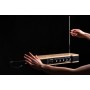 Moog Etherwave Theremin