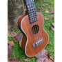 Puka UK-24 EQ Elektro Concert Ukulele