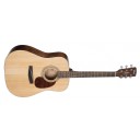 Cort Earth60 OP - Open Pore