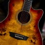 Washburn Deep Forest Burl Ace Amber Fade Elektro Akustik Gitar