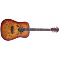 Washburn Deep Forest Burl D Amber Fade
