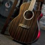 Washburn DFEACE - Deep Forest Ebony Ace Elektro Akustik Gitar