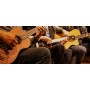 Ortega GTLS Guitarlele Select String Set Takım Tel Guilele Teli
