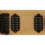EVH Wolfgang WG Standard Gloss Black Elektro Gitar