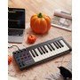 Donner STARRYKEY 25 MIDI Keyboard Controller MIDI Klavye - 25 Tuş