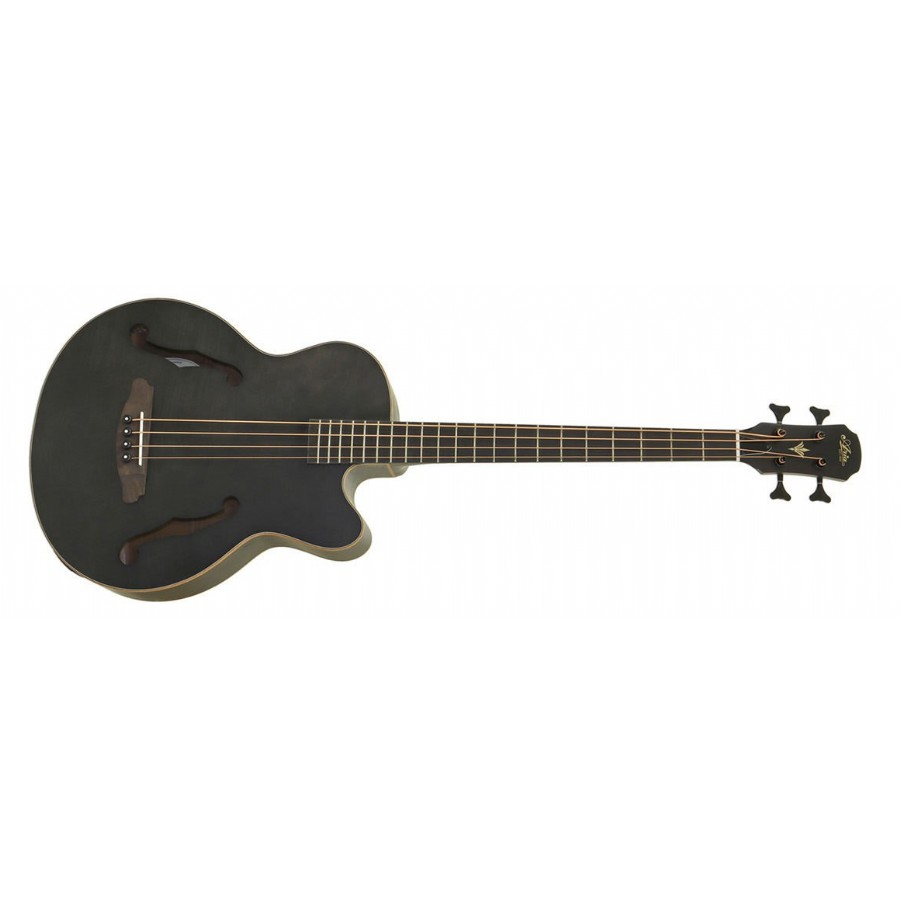 Aria FEBF2MST Siyah Elektro Akustik Bas Gitar