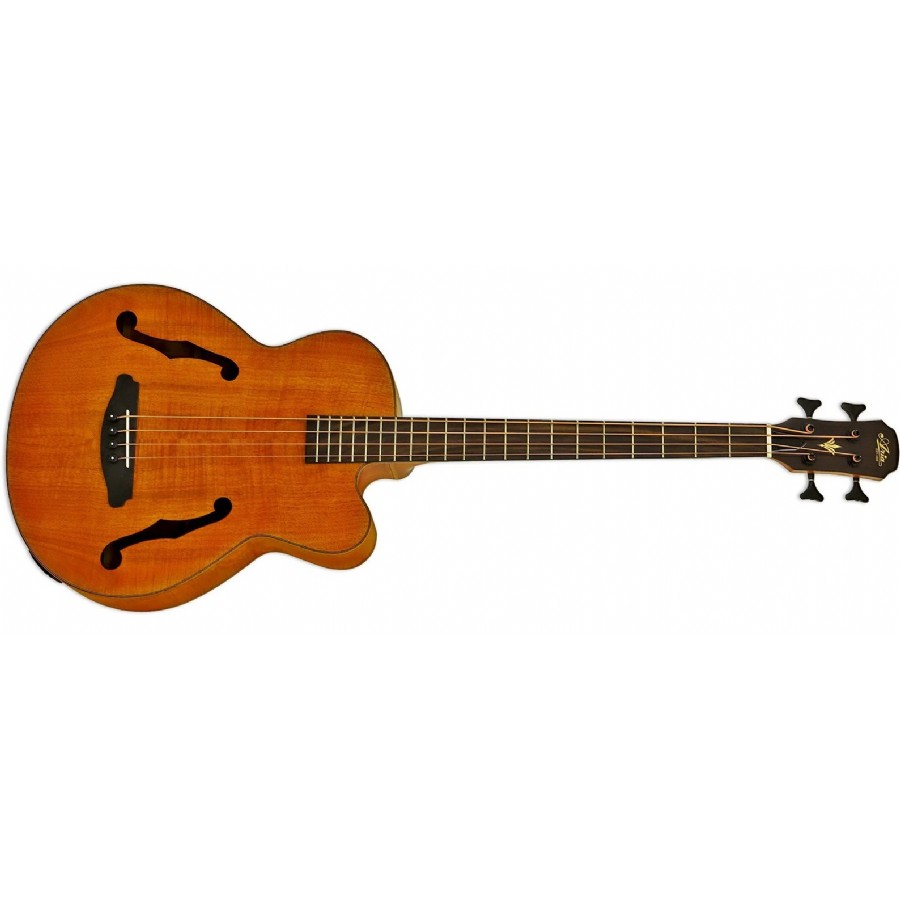 Aria FEBF2MST Kahverengi Elektro Akustik Bas Gitar