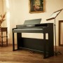 Donner DDP-400 88 Weighted Key Progressive Hammer Action Digital Piano Black Dijital Piyano