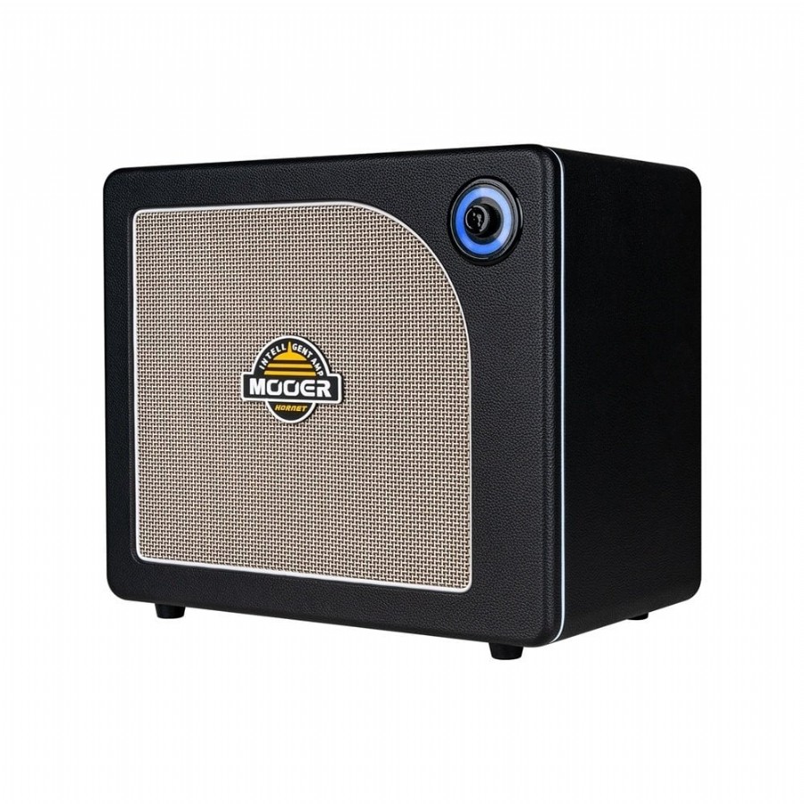 Mooer Hornet DH30I 30W Combo Black Elektro Gitar Amfisi