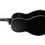 Ibanez PN14MHE WK - Weathered Black Open Pore Elektro Akustik Gitar